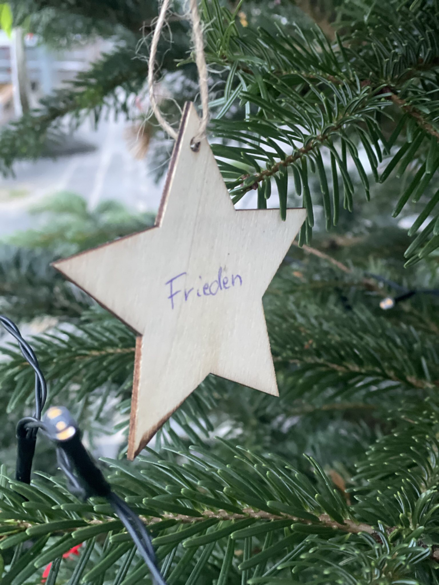 Ein Stern an unserem Weihnachtsbaum