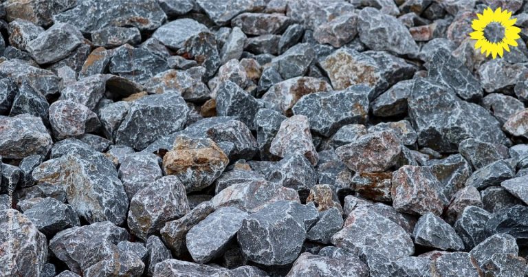 Unser Antrag: klimafreundliche Vorgärten