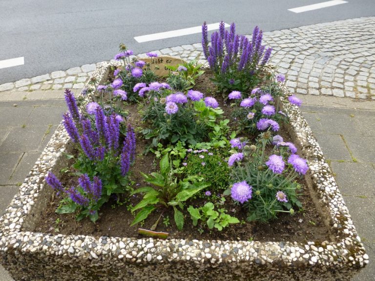 Mehr Grün für Mausbachs Insekten