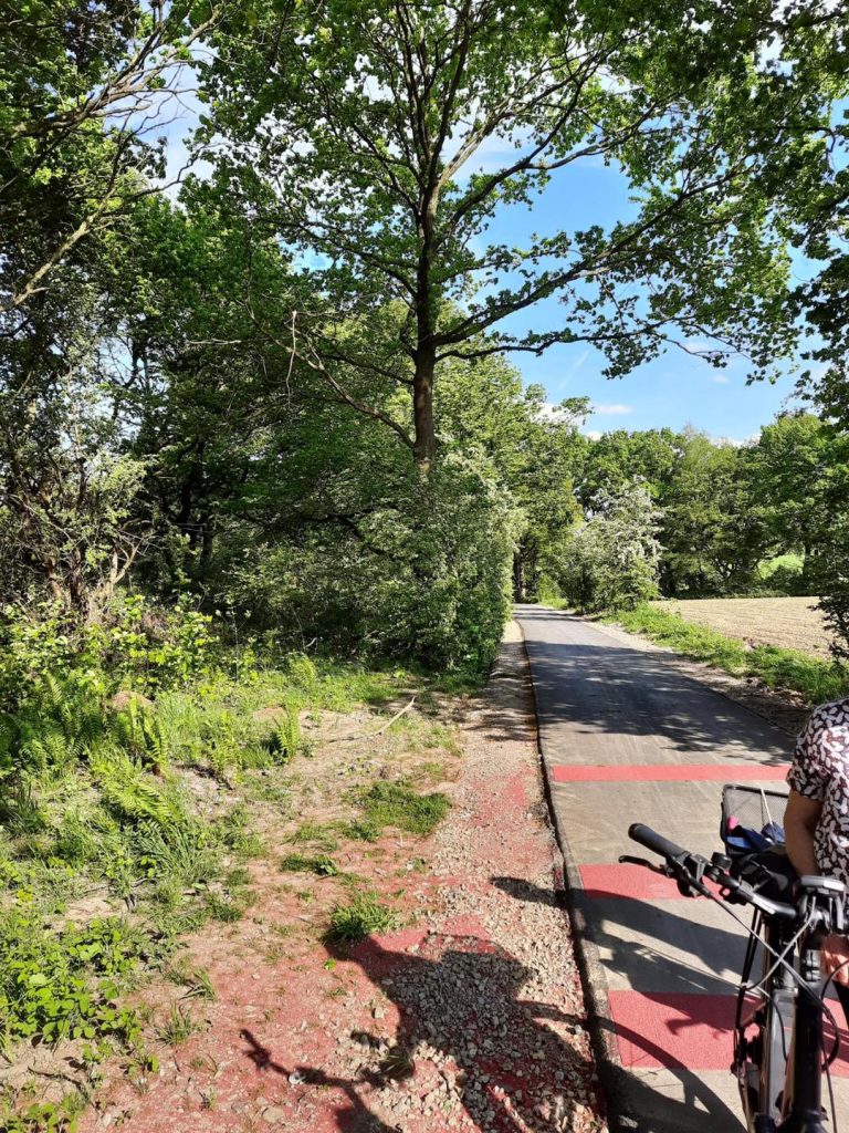 Eine Straße für Fahrräder
